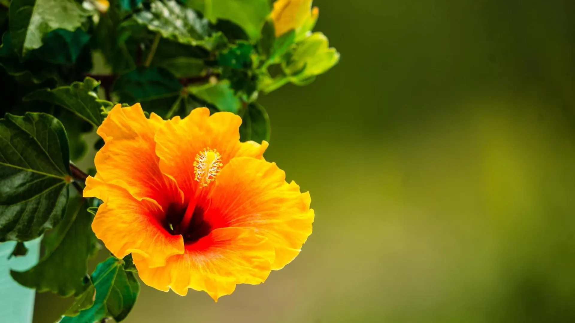 Apartamento Il Giardino Di Lory Vercana